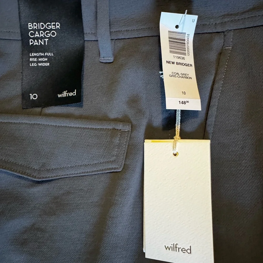 Aritzia Bridger Cargo Pants, coal grey - Picture 3 of 7